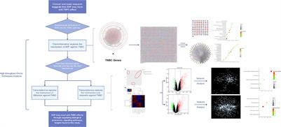 Exploring the Regulation Mechanism of Xihuang Pill, Olibanum and β-Boswellic Acid on the Biomolecular Network of Triple-Negative Breast Cancer Based on Transcriptomics and Chemical Informatics Methodology